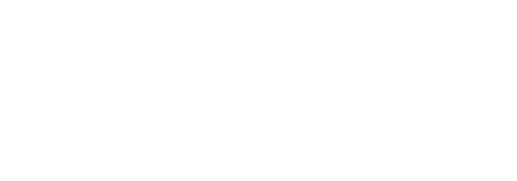 Logo NOW