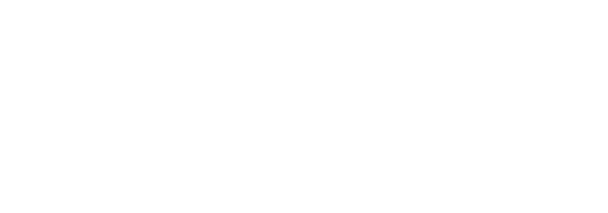 Logo NOW